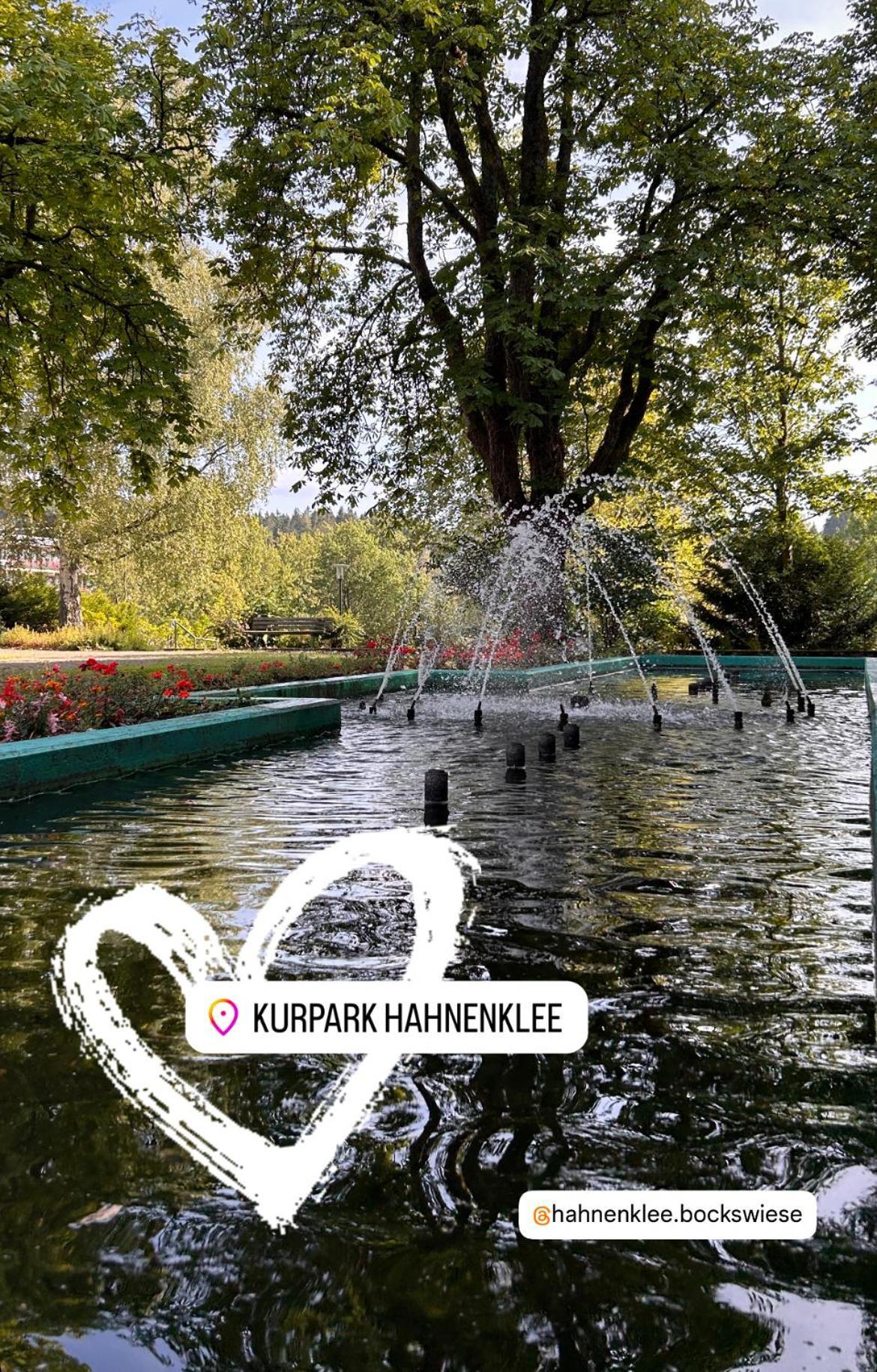 Ferienapartment Hahnenklee Apart 1 جوسلار المظهر الخارجي الصورة